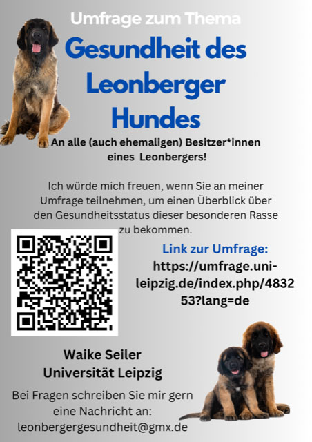 umfrage flyer